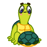 Bobby the Turtle