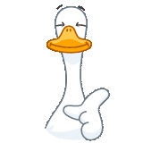 Funky Goose