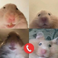 Hamsters (@t_stickers)