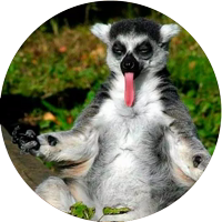 Lovely Lemurs @StikeryTG
