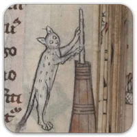 Medieval Cats