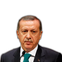 Mr. Erdogan