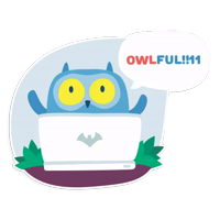 OTUS coding Owl