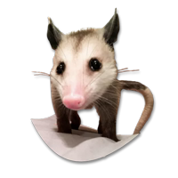 Opossum-Sesame