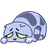 Puffy Cat