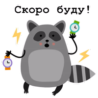 Raccoon_Nikita