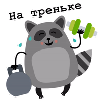Raccoon_Nikita