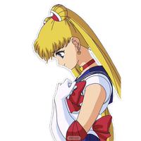 Sailor Moon @IMG_2D