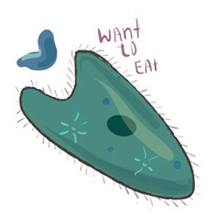 Unicellular stickers