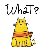 Yellow Home Cat