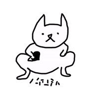 🙈Crazy Cat