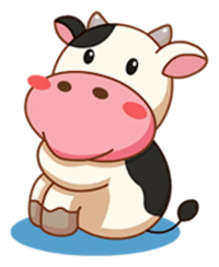 Momo Cow
