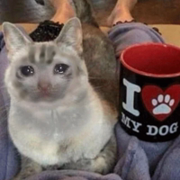 Crying Cat Deluxe