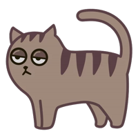 Fixel the Snob Cat