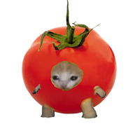 котики овощи коты фрукты