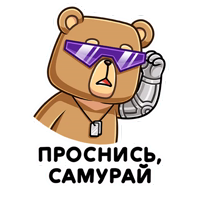 Медведь Женя :: @stickroom