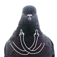 Pigeons with hands
