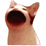 popping_cat_animated
