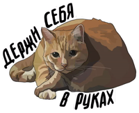 Ruchkin’s cats