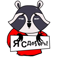 u-team-raccoon